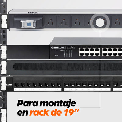 Barra PDU Intellinet Multicontactos Vertical 12 Salidas Tipo NEMA
