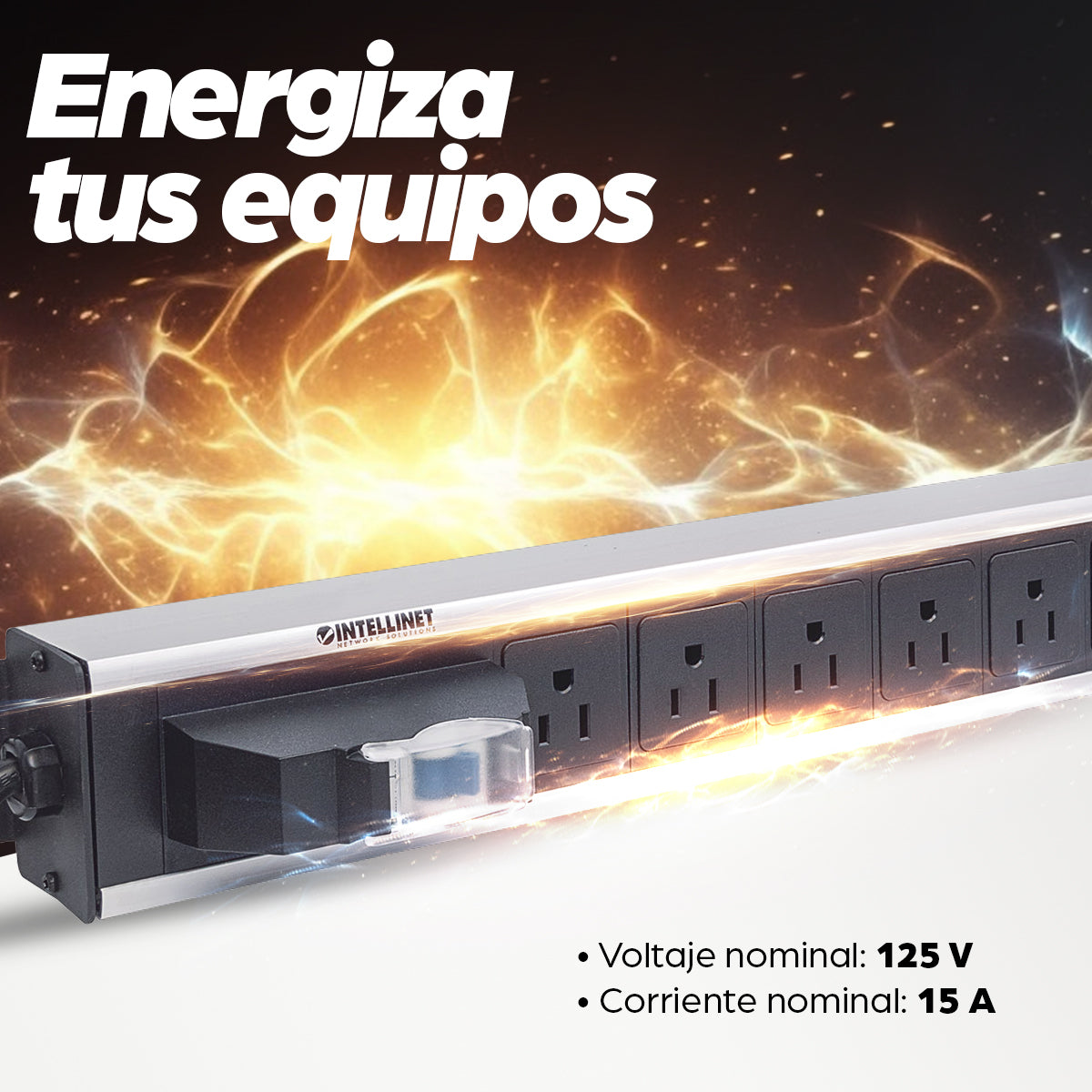 Barra PDU Intellinet Multicontactos Vertical 12 Salidas Tipo NEMA