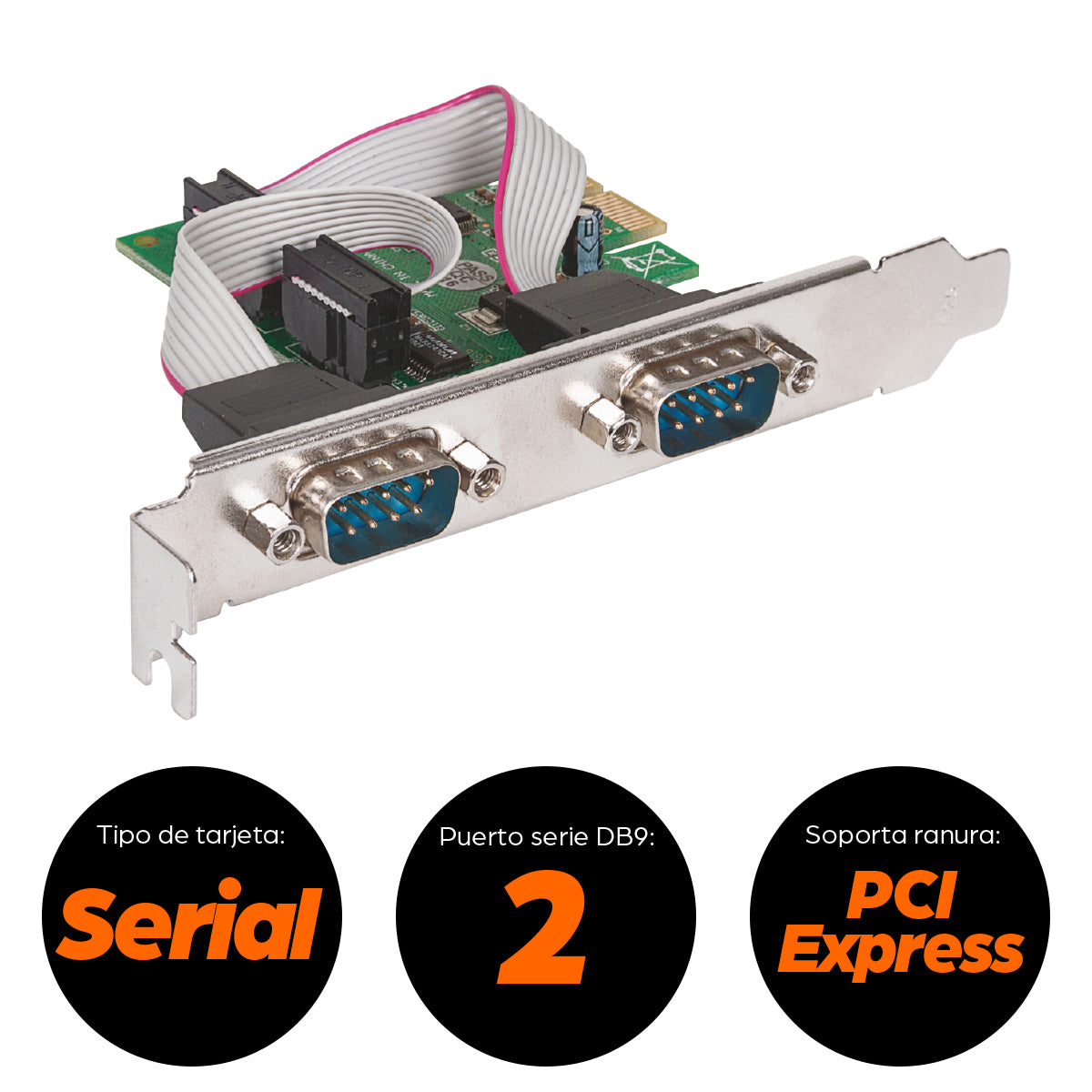 Tarjeta Serial PCI Express Manhattan 152082