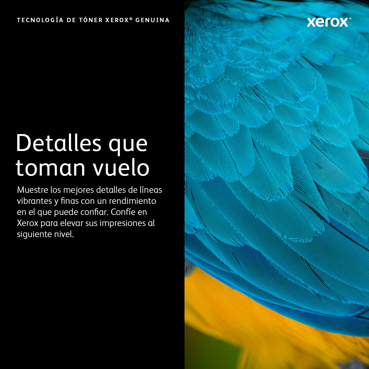 Toner Xerox Phaser 5550 35K